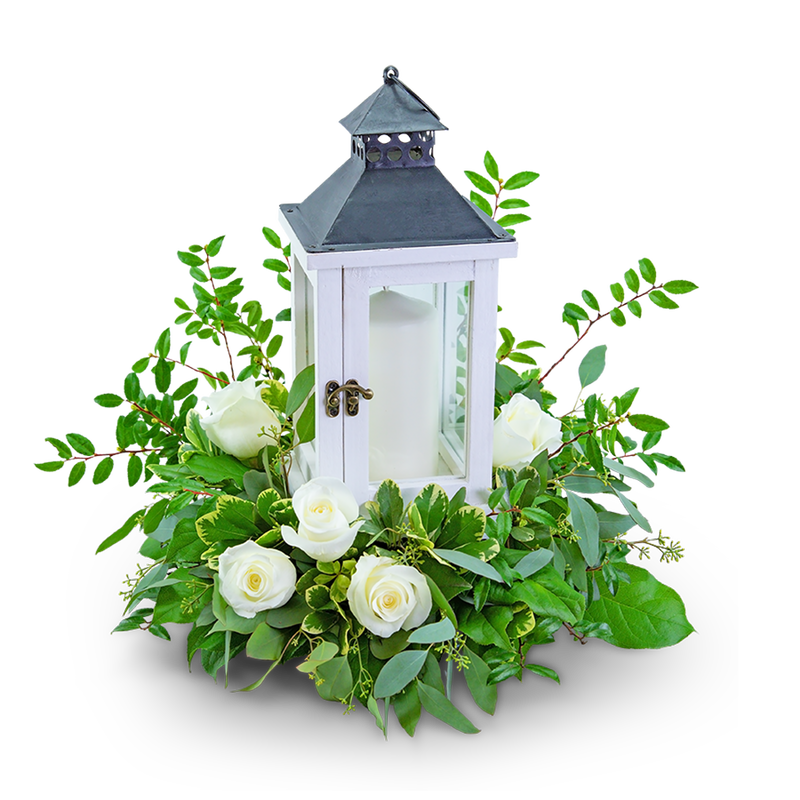 Signature White Rose Lantern