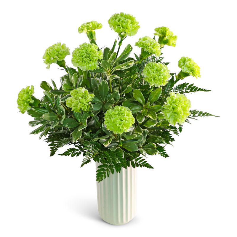 One Dozen Bright Green Carnations