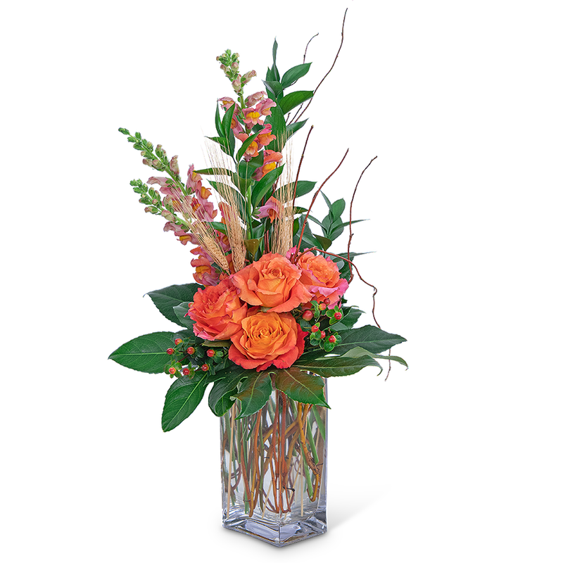 Captivating Coral