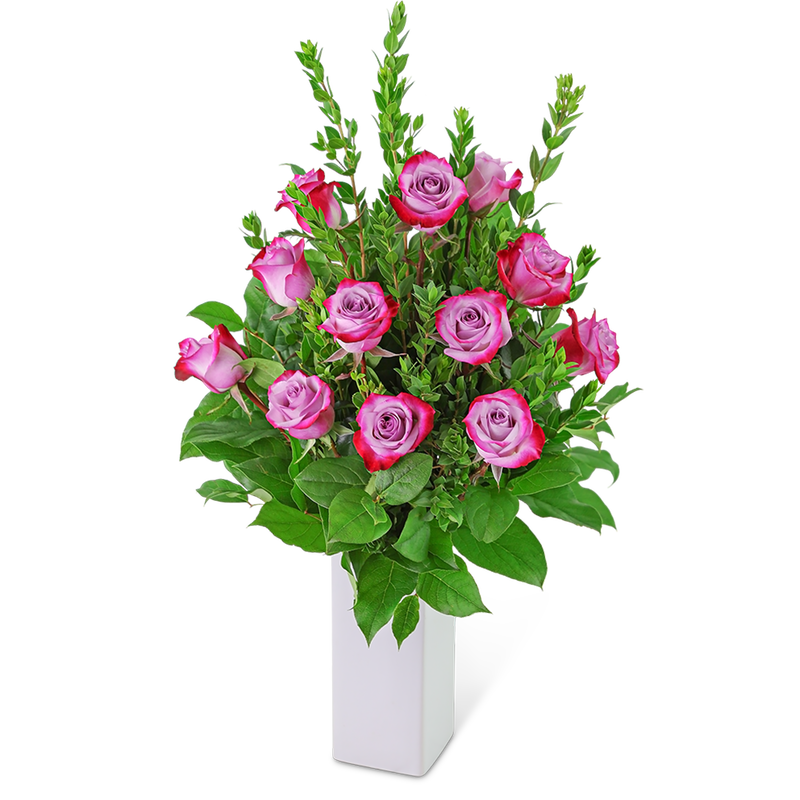 Lovely Lavender Roses (12)