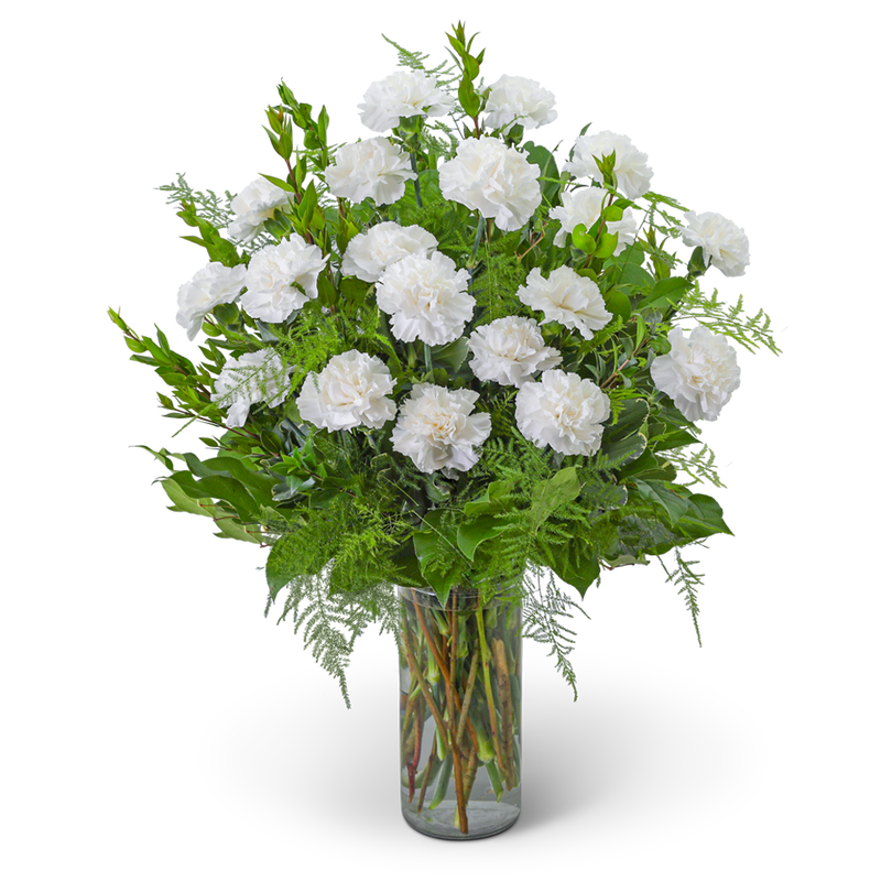 Harmony in White