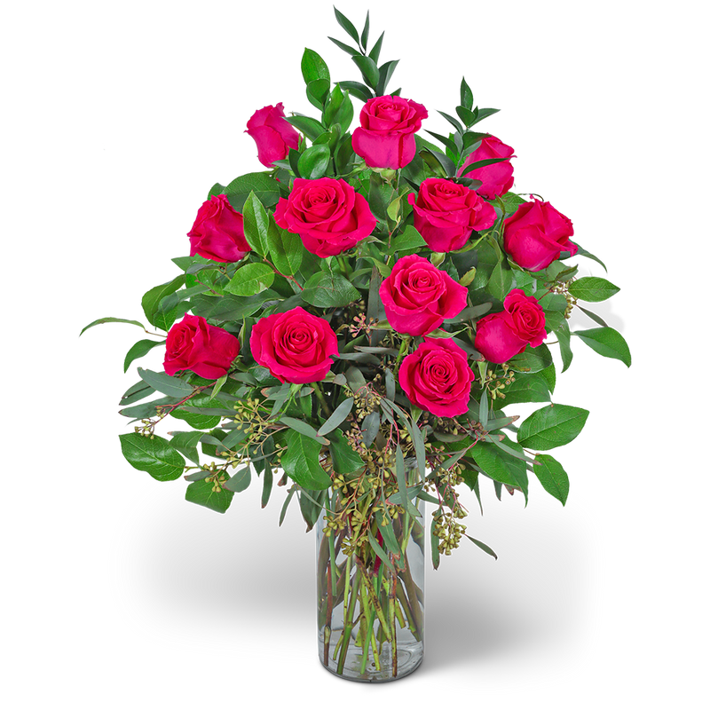 One Dozen Hot Pink Roses