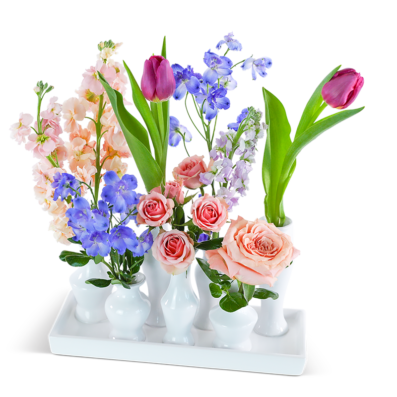 Petal Poetry Bud Vase Blooms