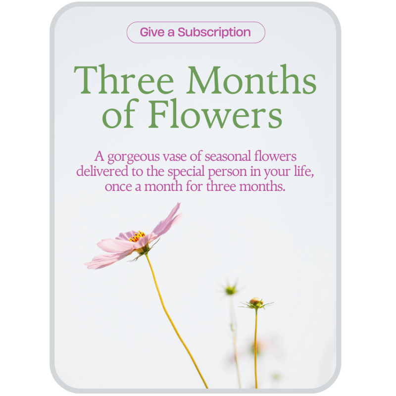 Bouquet of the Month Club (3)