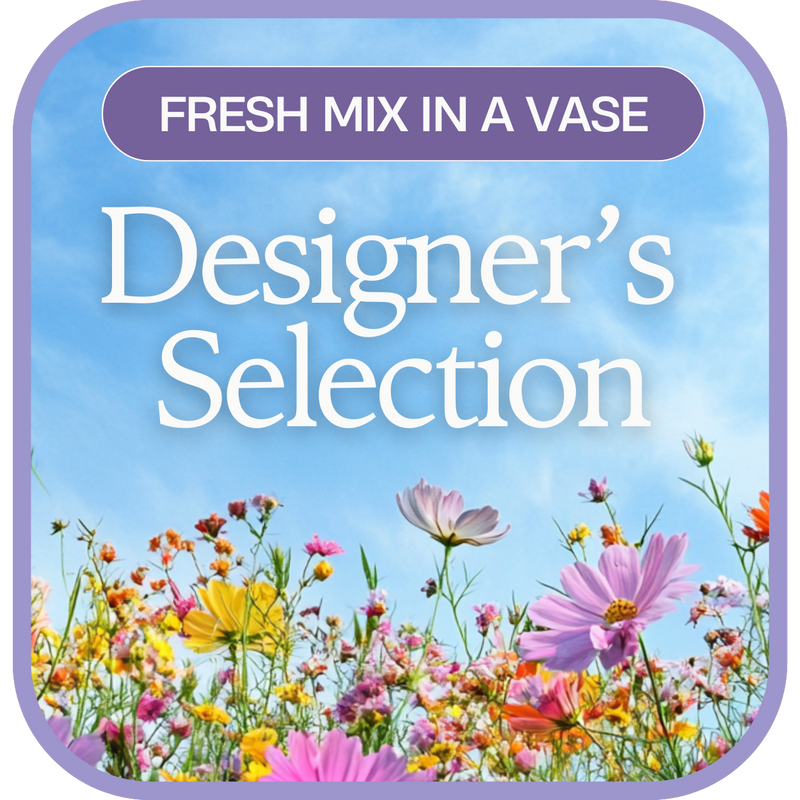 Designer's Choice