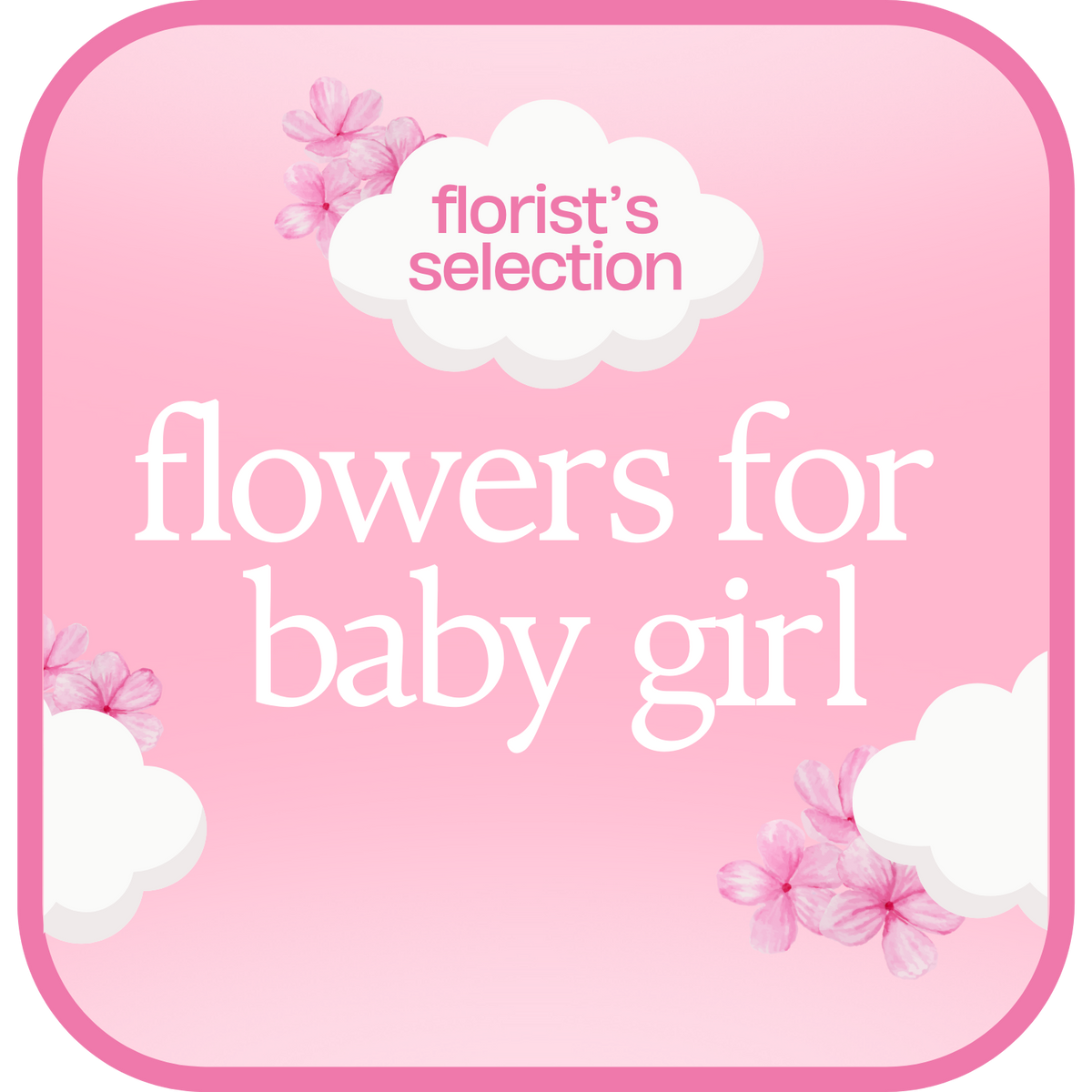 Designer's Choice Baby Girl