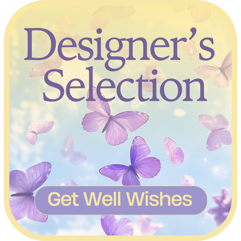Designer's Selection Get Well Wishes