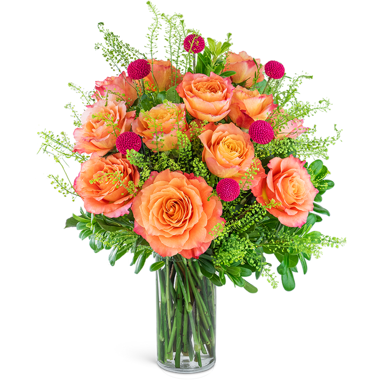 One Dozen Wild and Free Spirt Roses