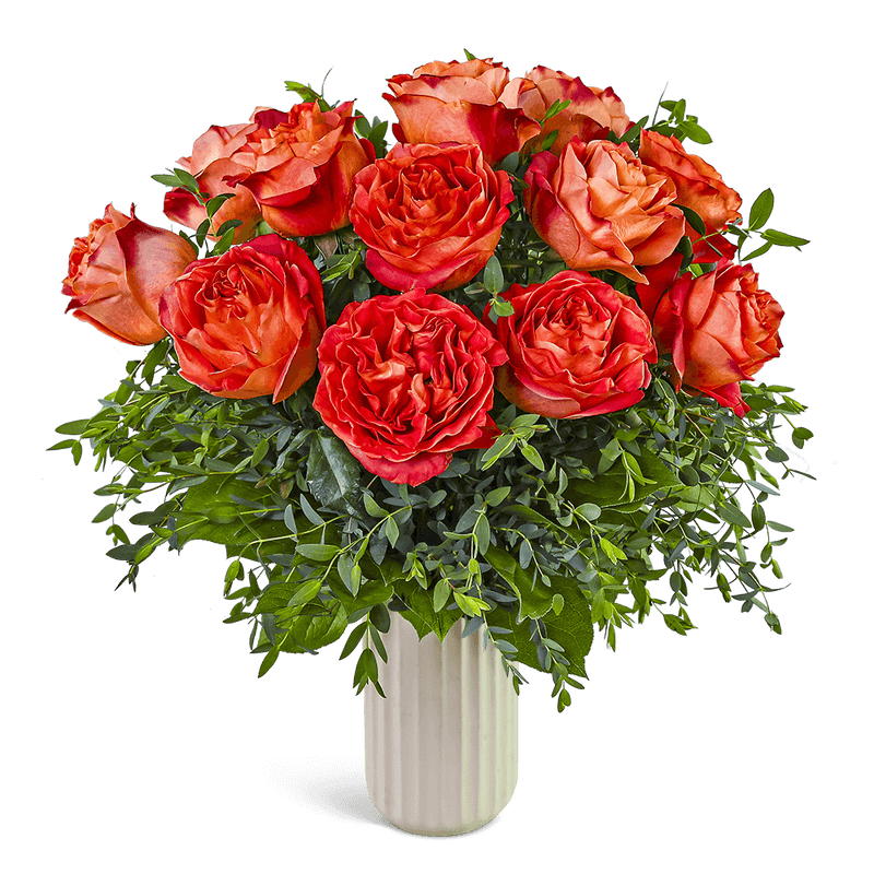 One Dozen Chic Wild Spirit Roses