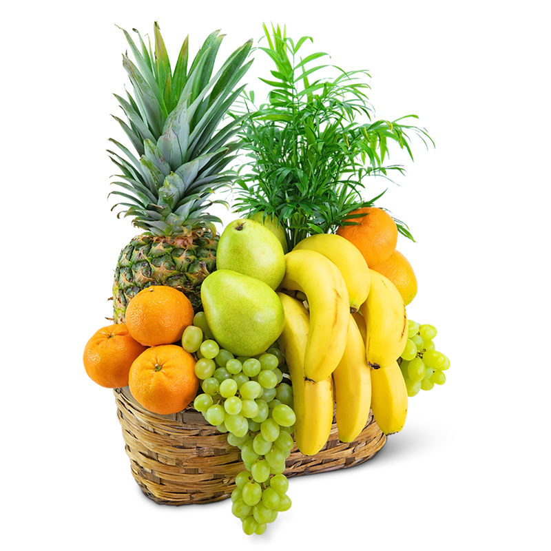 Green Goodness Fruit & Plant Basket