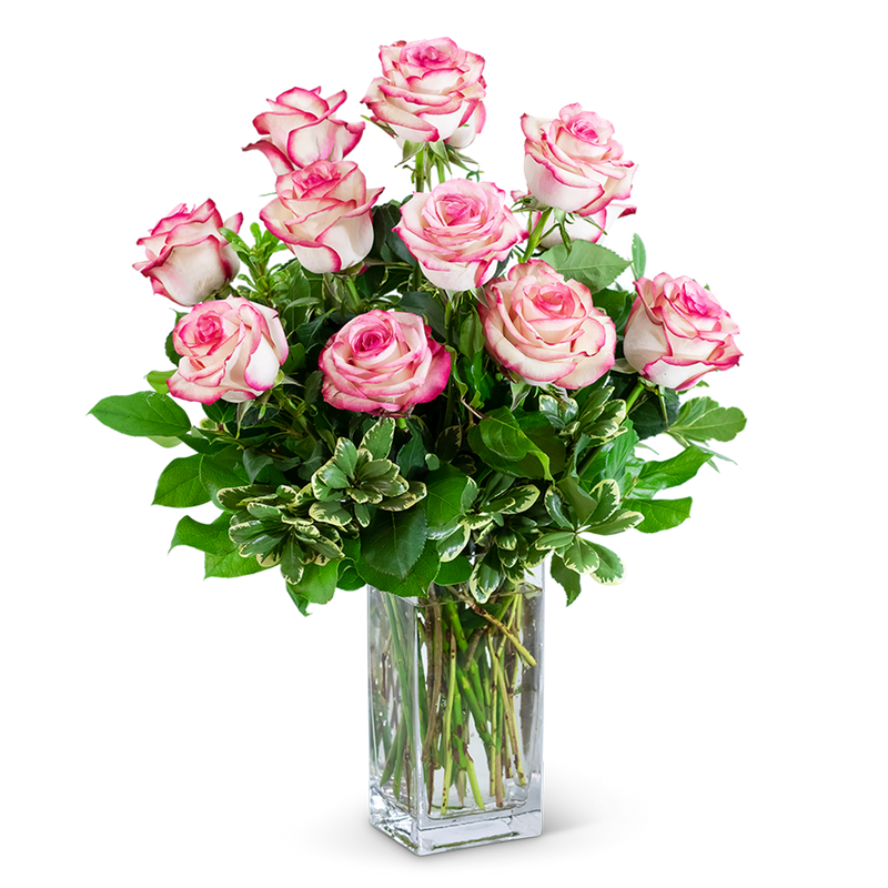 Paloma Roses (12)