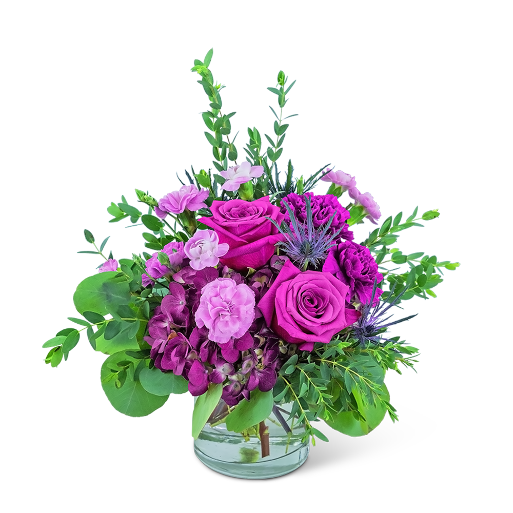 Mod Magenta