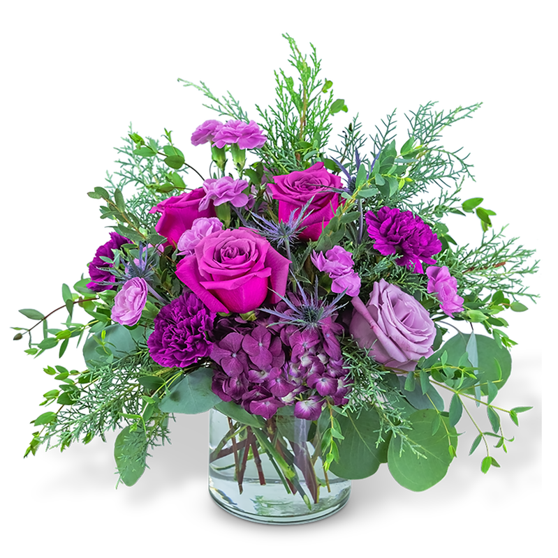 Nordic Magenta