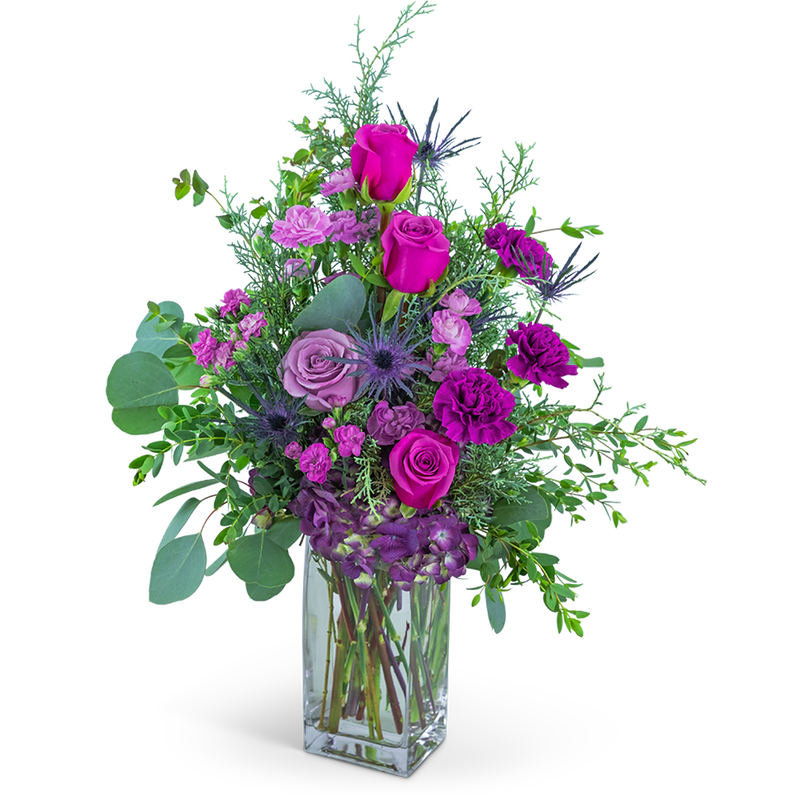Midnight Magenta