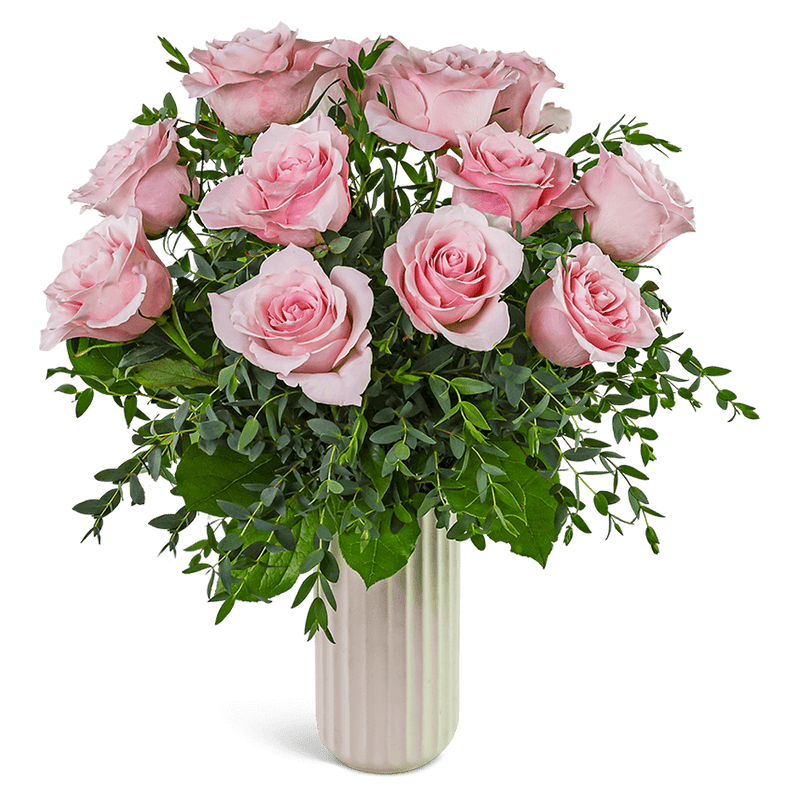 One Dozen Pink Cloud Roses