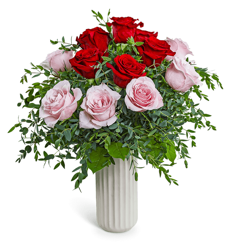 One Dozen Pink and Red Roses