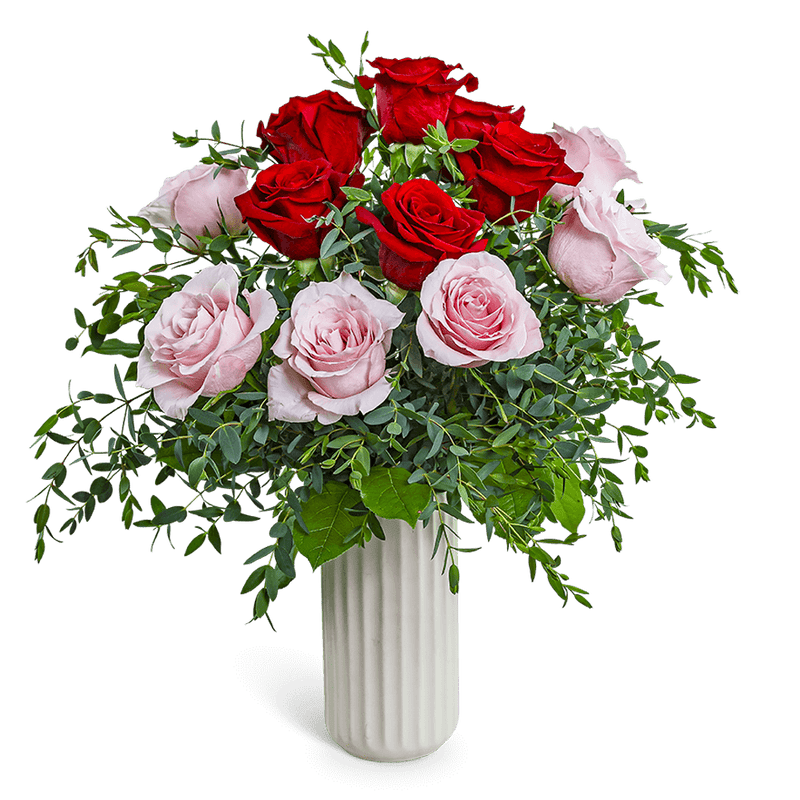 One Dozen Perfect Pink and Red Roses