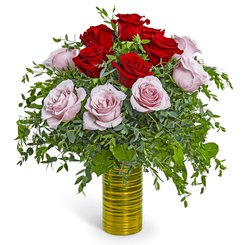 One Dozen Pink and Red Roses in Gold