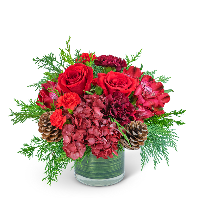 Ruby Red Velvet