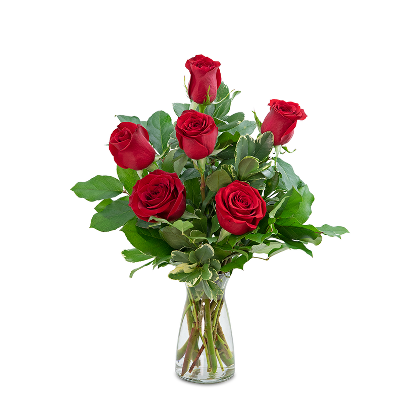 Red Roses (6)