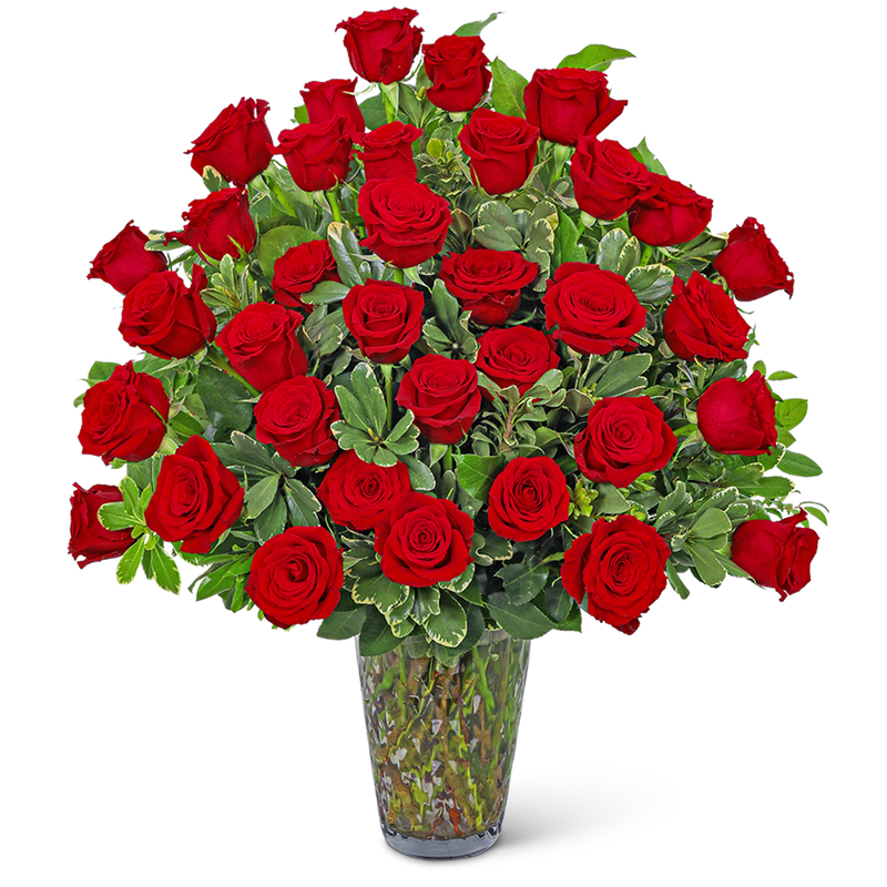 Three Dozen Elegant Red Roses