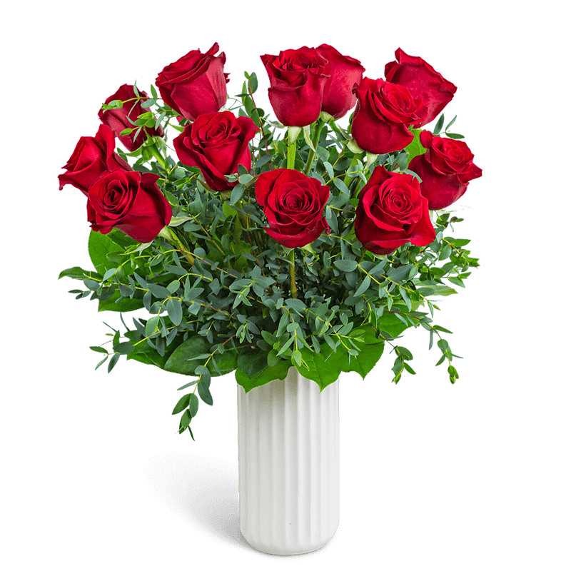 One Dozen Ruby Red Roses