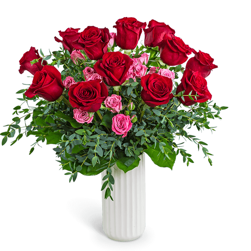 One Dozen Flirty Roses