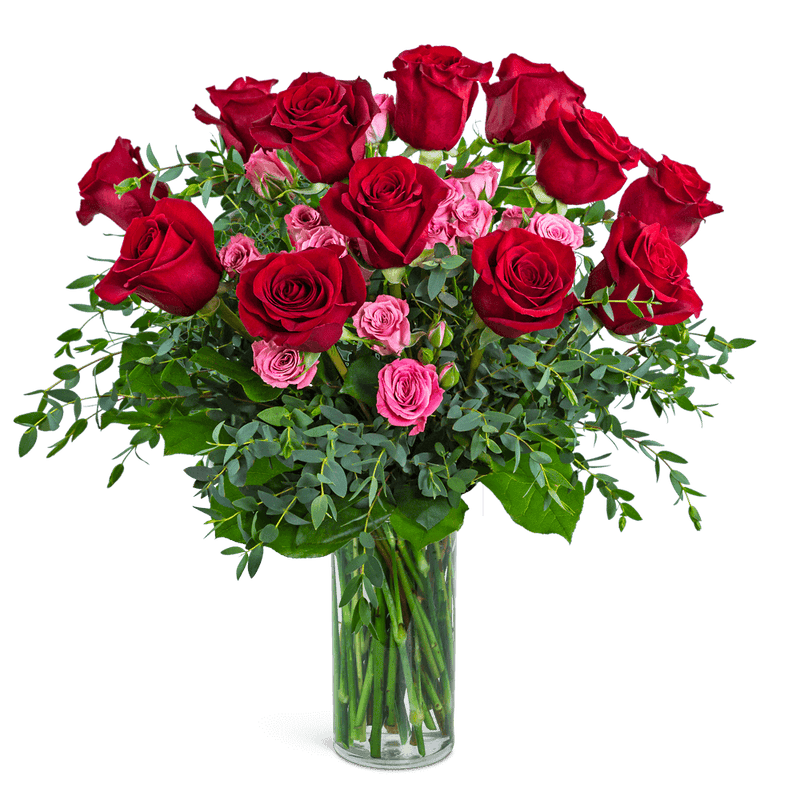 Kiss Me Dozen Roses