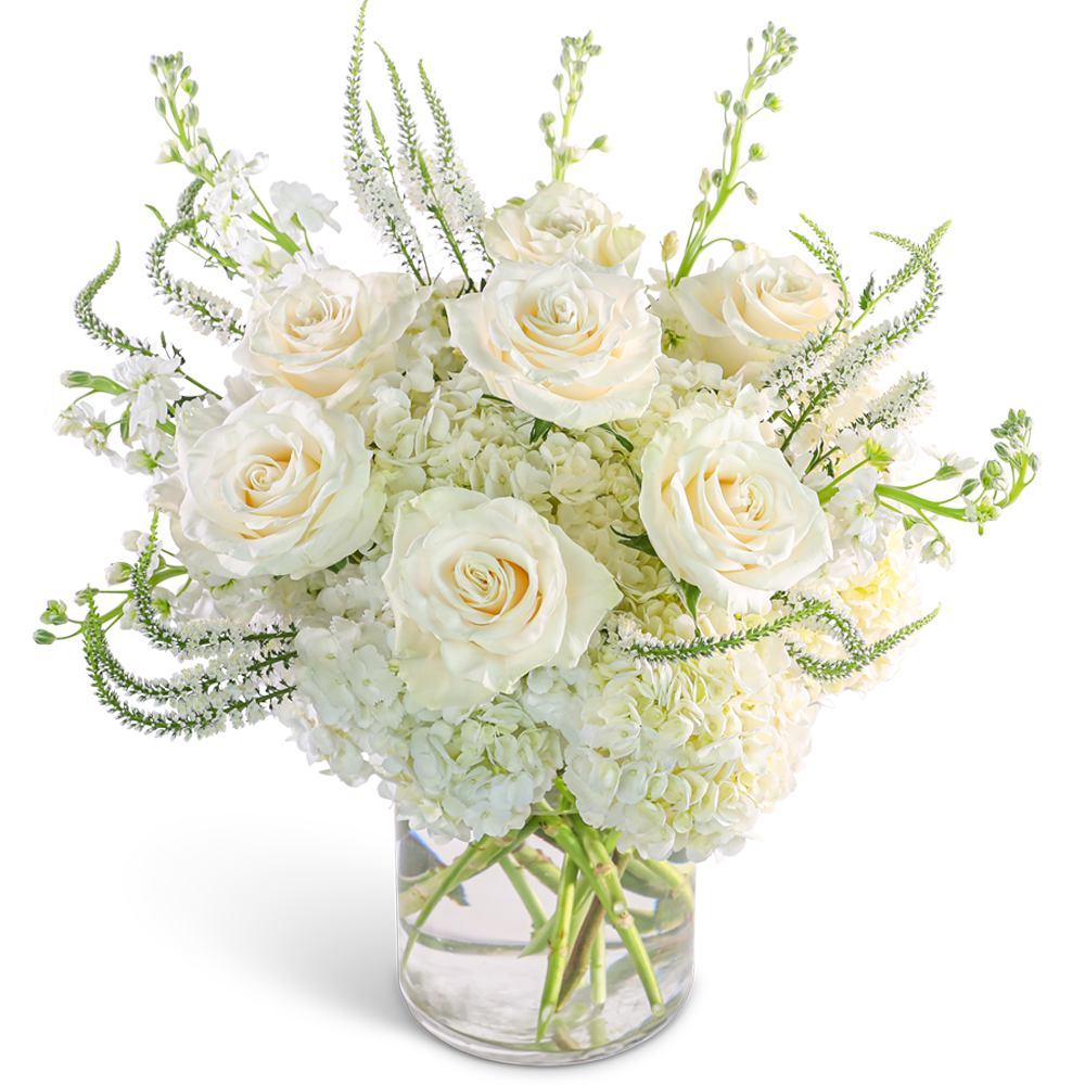 Chantilly Elegance