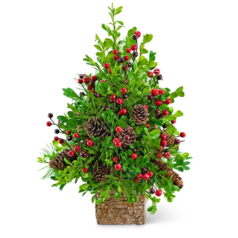 Adorned Boxwood Tree