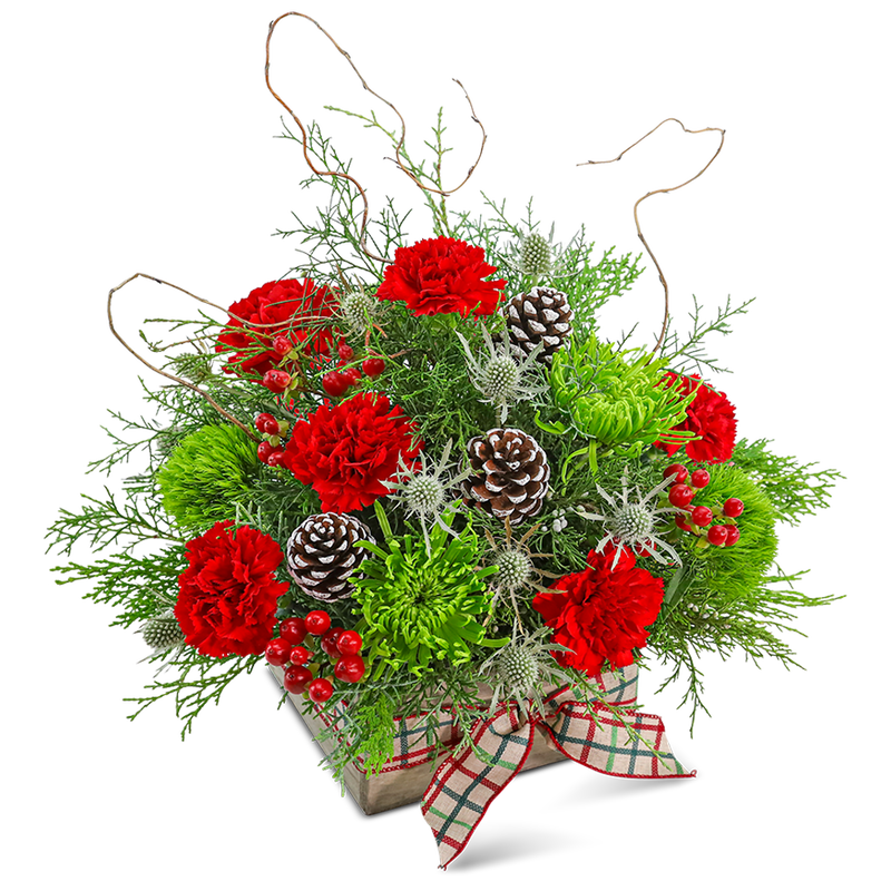 Joyful Tidings