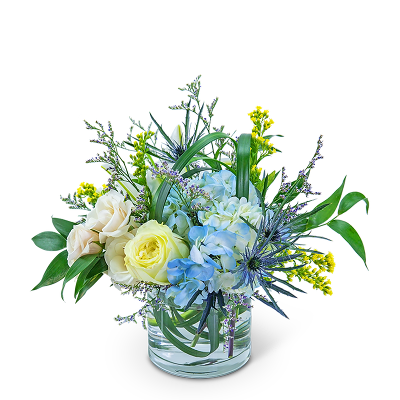 Wilde Blue