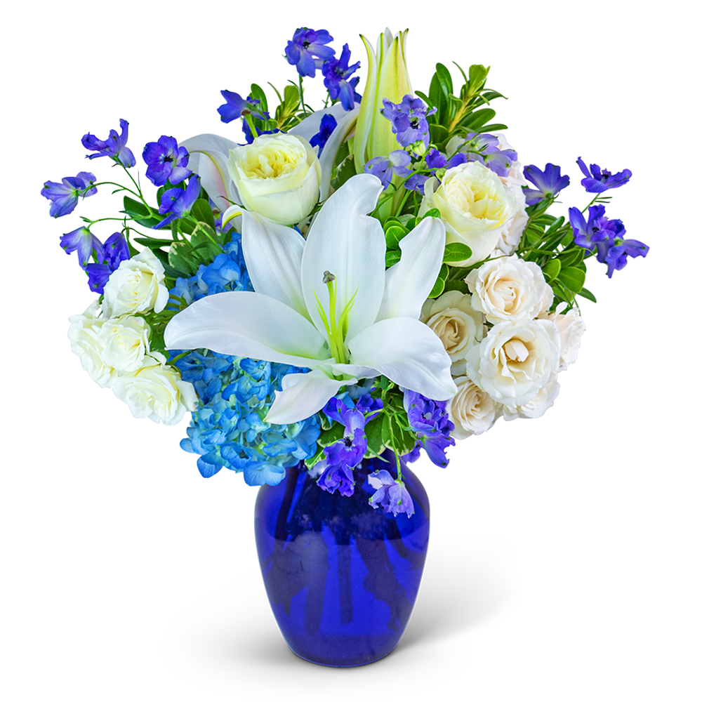 Blue Beauty