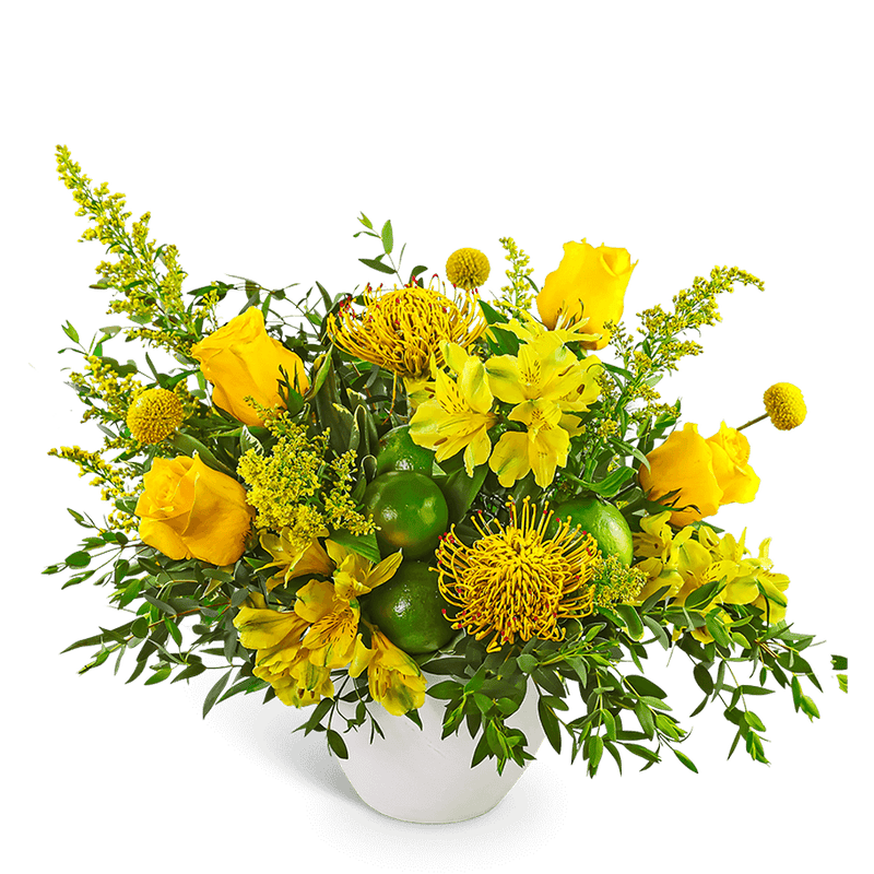 Lush Zest Delight