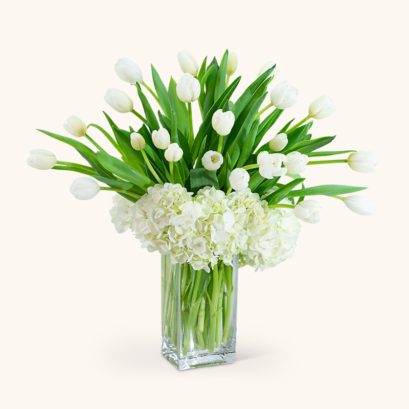 White Elegance