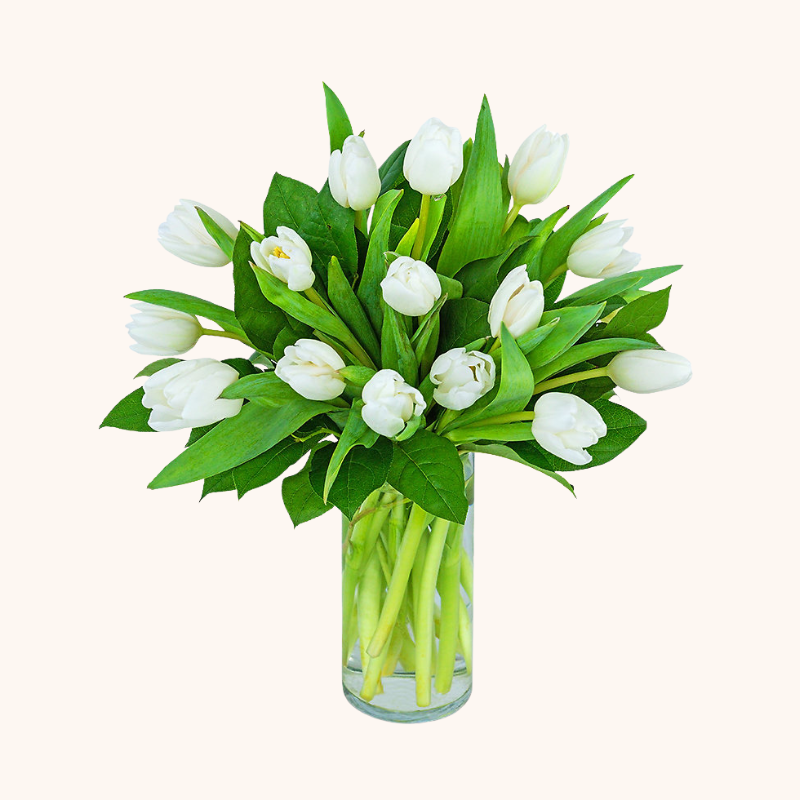 White Tulips