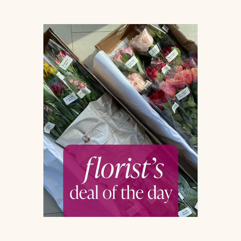 Florist's Deal of the Day