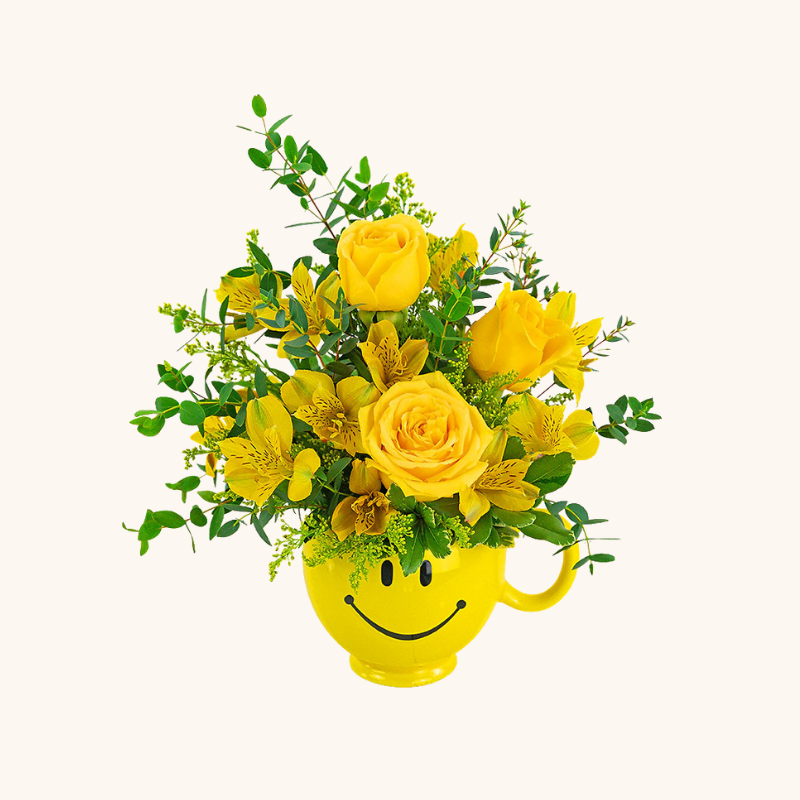 Send A Smile Mug