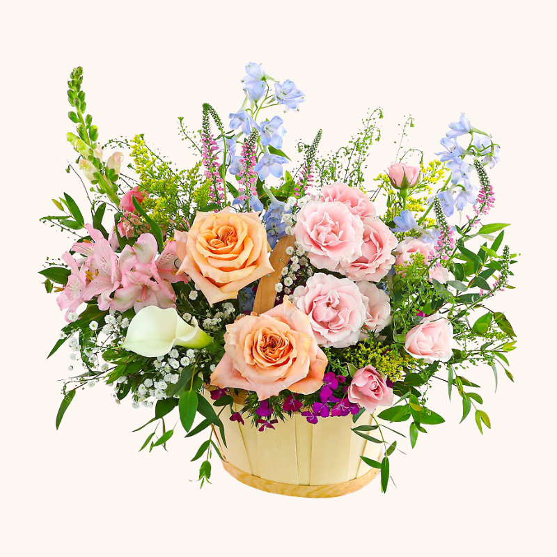 Botanical Bloom Basket