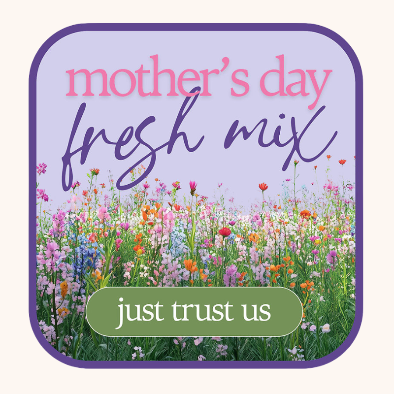 Designer's Choice for Mother's Day
