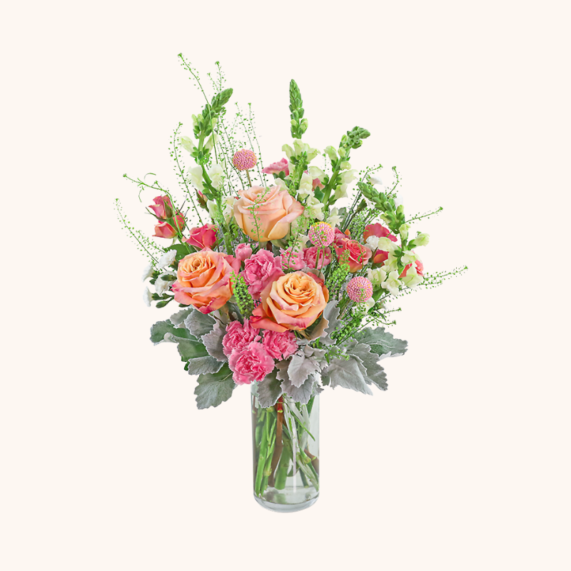 Rosy Coral Breeze