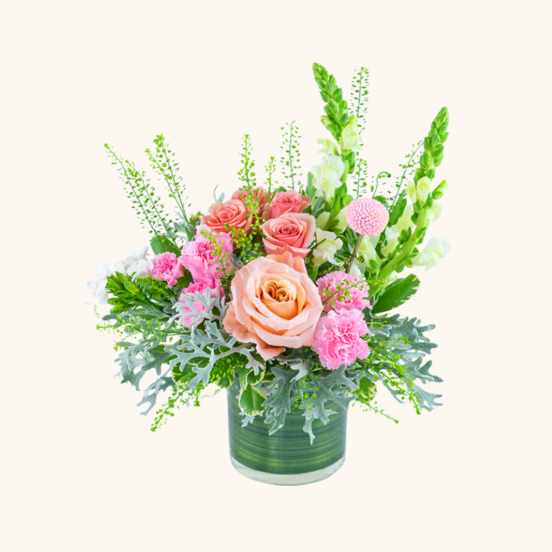 Rosy Coral Romance